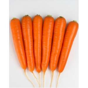 Натива F1 - морковь, 100 000 семян, Sakata (Саката), Япония фото, цена